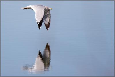 _MG_2906.jpg