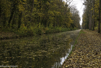 Canal de l'Ourcq