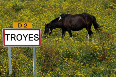 cheval de Troyes