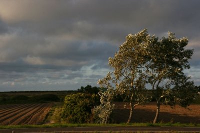 Au bord de la route, lumire sombre