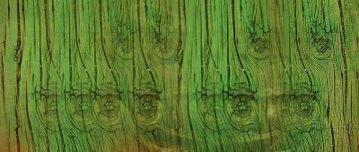 Les ttes de bois 05-11-2007
