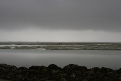 Mare basse