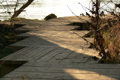 Bord de Marne