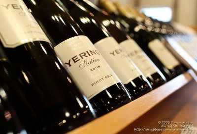 Wines in Yering Station