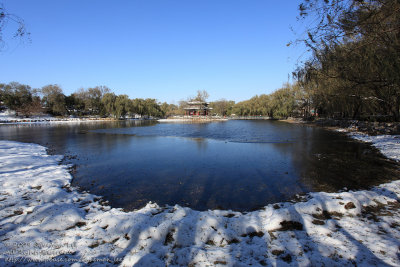 Icy pond