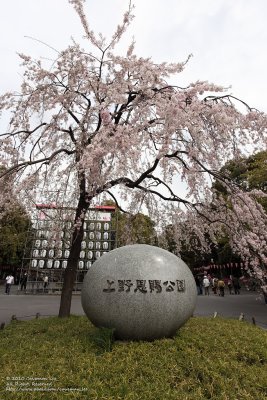 Ueno Park