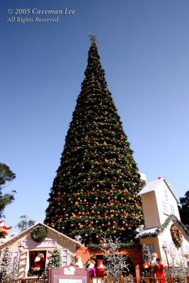 X'mas tree in Central 2005