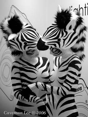 Zebra Models