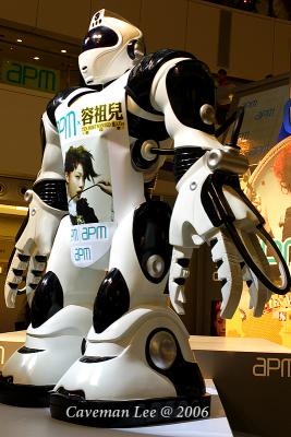 A Shopping Mall Robot