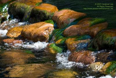 Green Stream