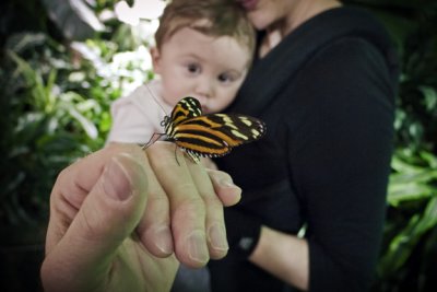 Ethan and Nicole, Butterfly Exhibit, Museum of Natural History