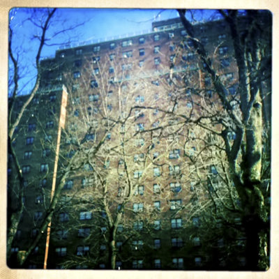 Apartment Block and Trees