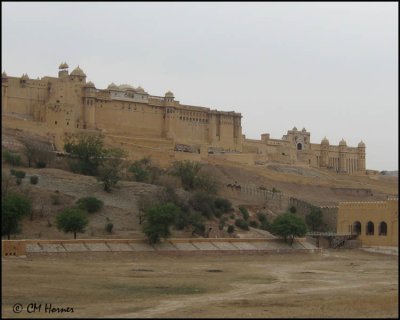 3950 Amber Fort.jpg