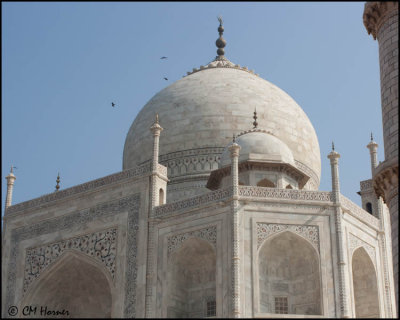 6066 Taj Mahal and Black Kites.jpg
