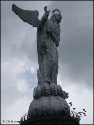 DSCN2682 The Virgin of Quito