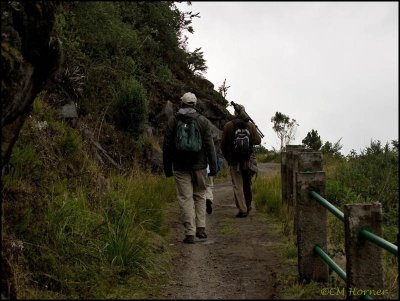 8595 Hiking at Yanacocha