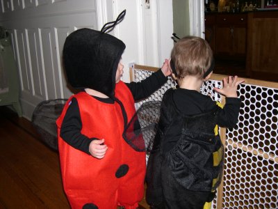 DSCN4393.JPG