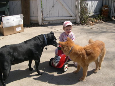 DSCN4864.JPG