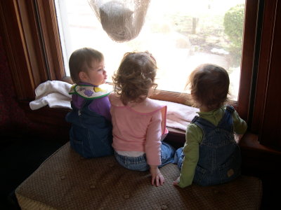DSCN4752.JPG