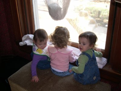 DSCN4754.JPG