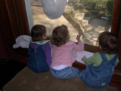 DSCN4755.JPG