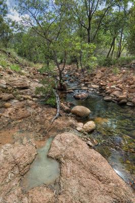 Creek and rock pool _DSC3454