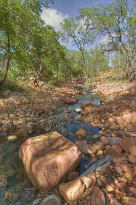 Rock, water, and trees _DSC3481