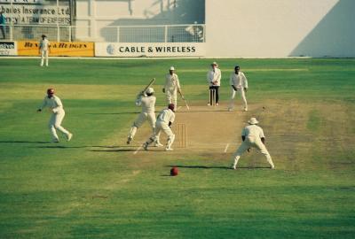 Cricket smashed back past the bowler for four!