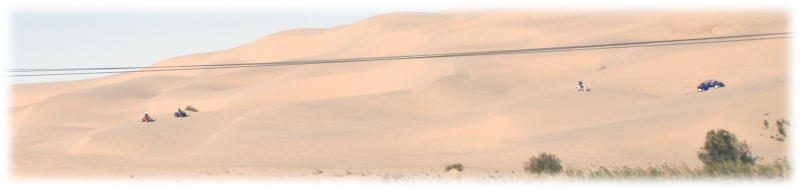 Dune Buggies.jpg