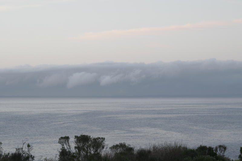 Fog In The Morning.jpg