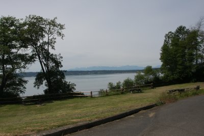 IMG_3890.jpg