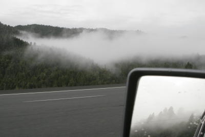 Foggy Morning.jpg