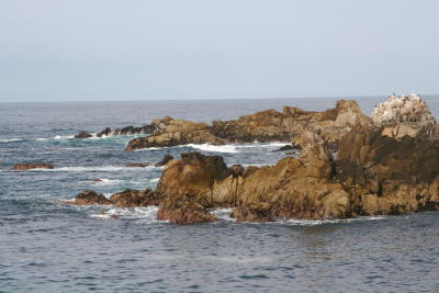 IMG_0697.JPG