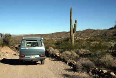 Cactus and Crosses.jpg