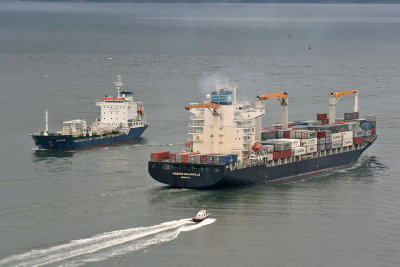 Maersk Nolanville x Caliope