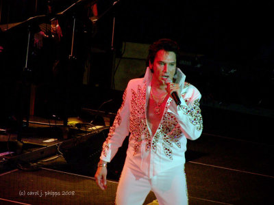 The Elvis Experience.jpg