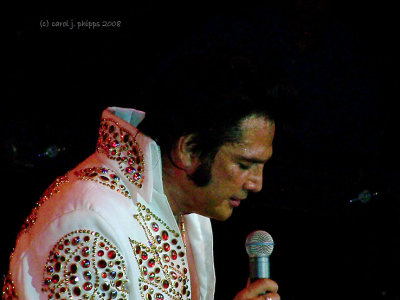 The Elvis Experience.jpg