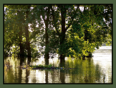 Flooding Days are Here Again!