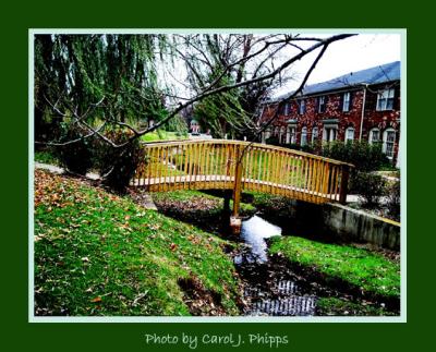 ENDINGS ~ Bridge over Fall Leaves