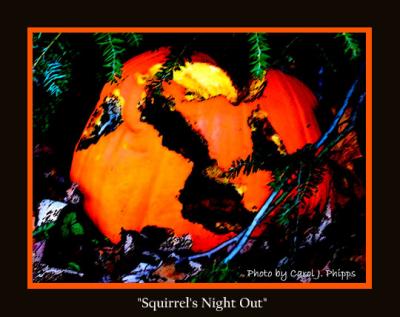 Squirrels Night Out.JPG