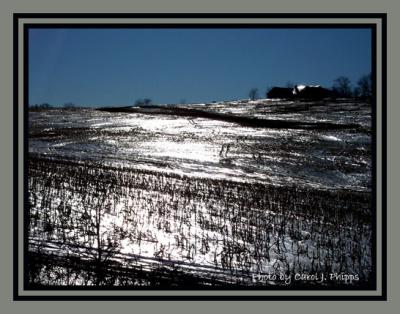 Maryland hillside, icy! (USA)