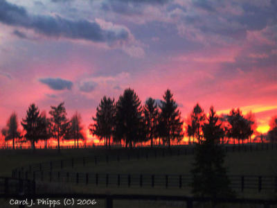 Kentucky (USA) Horse Farm at Sunset.JPG