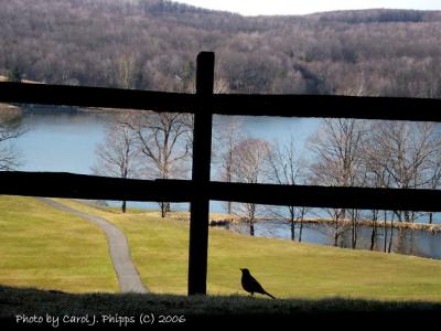 008 Alpine Lake West Virginia.JPG