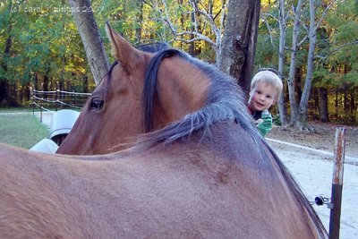 A Boy and His Horse \ Joy at being Home!