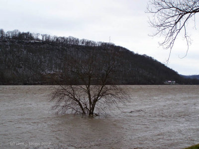 High Water on the Ohio River.