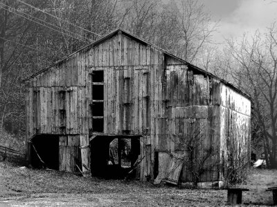Bedford, Kentucky Barns