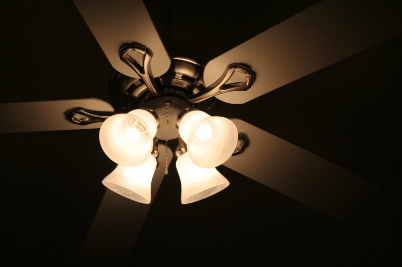 Cieling Fan