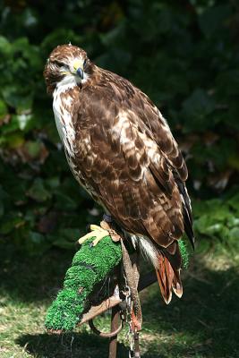IMG_1264.jpg