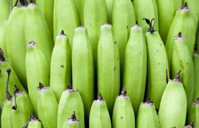 Bananas 7292