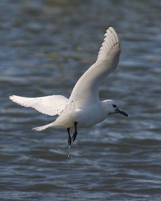 IMG_4555.JPG